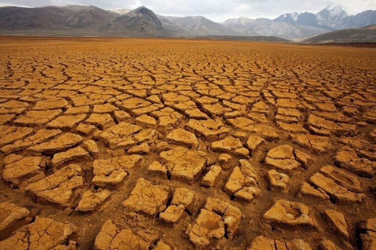 La COP28 busca un acuerdo de último momento tras el rechazo del controvertido borrador de la presidencia de la cumbre