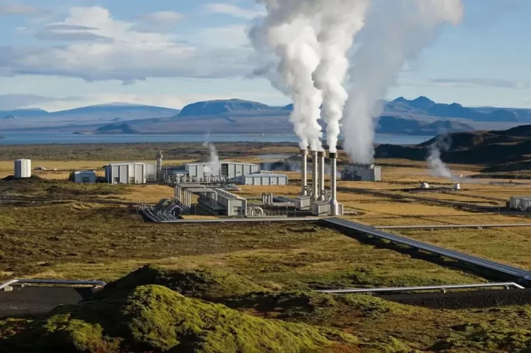 Actualiza tu dieta para combatir el cambio climático