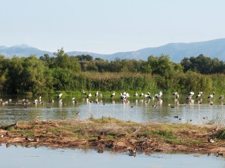 España alcanza un récord de casi 30°C en enero