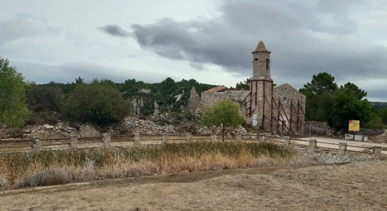 Los bosques catalanes se están convirtiendo en un cementerio vegetal por la falta de agua