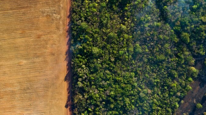 Biodiversidad: Definición y métodos de protección