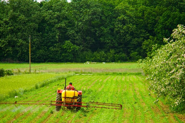 El último descubrimiento que transformará la agricultura: enfrentando las fuertes nevadas y produciendo electricidad con energía renovable