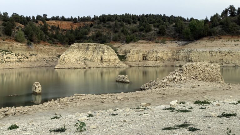 Competencia fotográfica sobre los efectos del cambio climático y sus soluciones