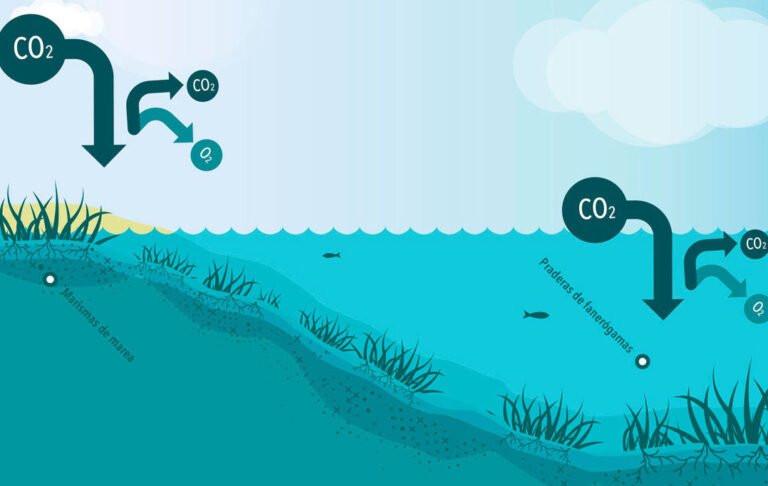 Europa enfrenta las consecuencias del arancel al carbono en la COP28