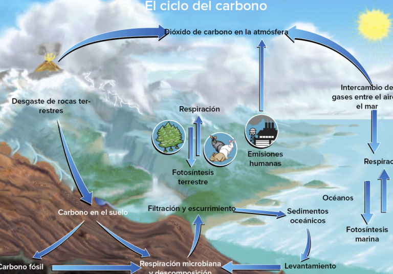 Los Verdes alemanes respaldan el plan europeo de gestión del carbono