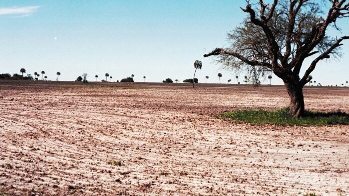 Grave deterioro continuo de la naturaleza en Europa según la última evaluación