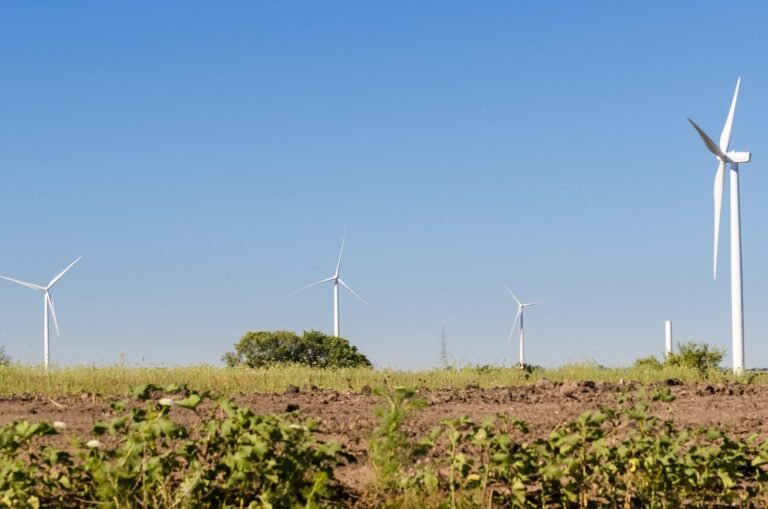 Necesitamos una revolución justa y equitativa de las energías renovables para salvar el planeta: COP28