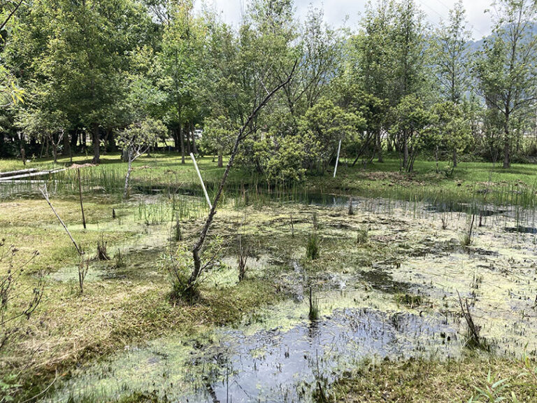 Ribera se centra en la preservación de humedales «especialmente amenazados» como las Tablas de Daimiel, la Albufera y el Delta del Ebro