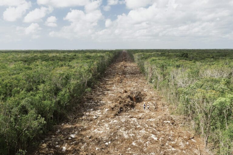 La Asamblea de la ONU para el Medio Ambiente reúne al mundo para enfrentar la «triple crisis planetaria»