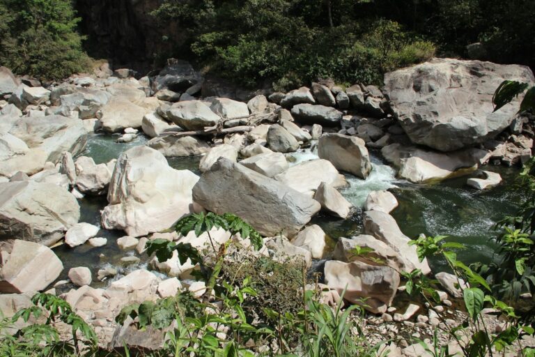 Ciudades estadounidenses desperdician millones de litros de agua de lluvia