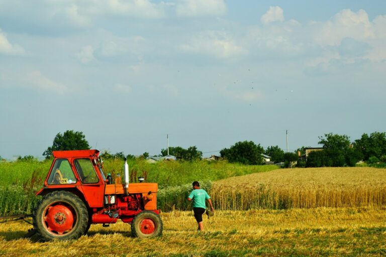 Evaluación de los estándares de la etiqueta ecológica de la UE para productos de limpieza.