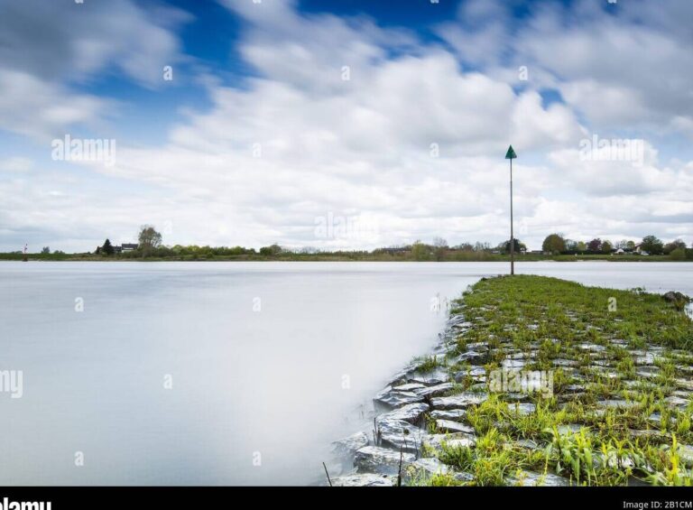 La metamorfosis de Millingerwaard: de la agricultura intensiva y extracción de arcilla a la protección natural contra inundaciones en los Países Bajos