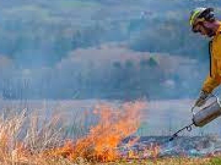 Beneficios de las quemas controladas para prevenir incendios forestales limitados por el cambio climático