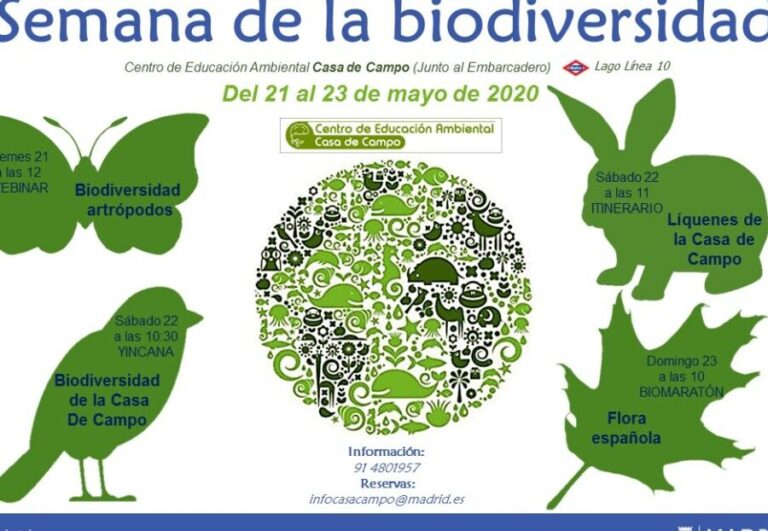 Colaborando para mejorar la biodiversidad en Natura 2000 en Letonia: el papel de las tierras privadas