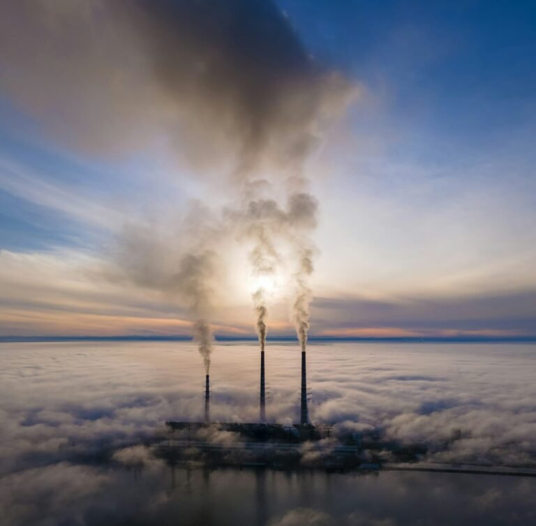 El CO2 agrava los incendios forestales al favorecer el crecimiento de las plantas