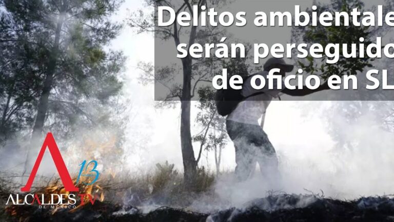 delitos ambientales