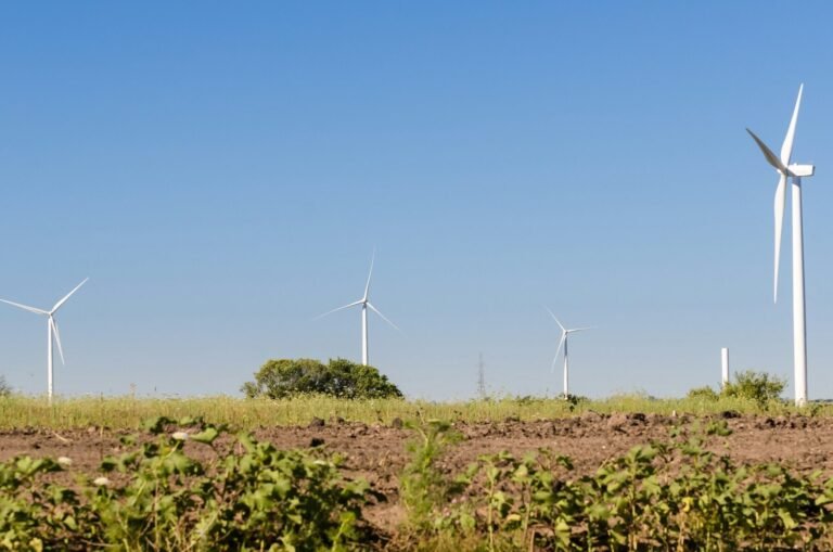 Repotenciación de las energías renovables: ¿un destello de esperanza en medio del pesimismo?