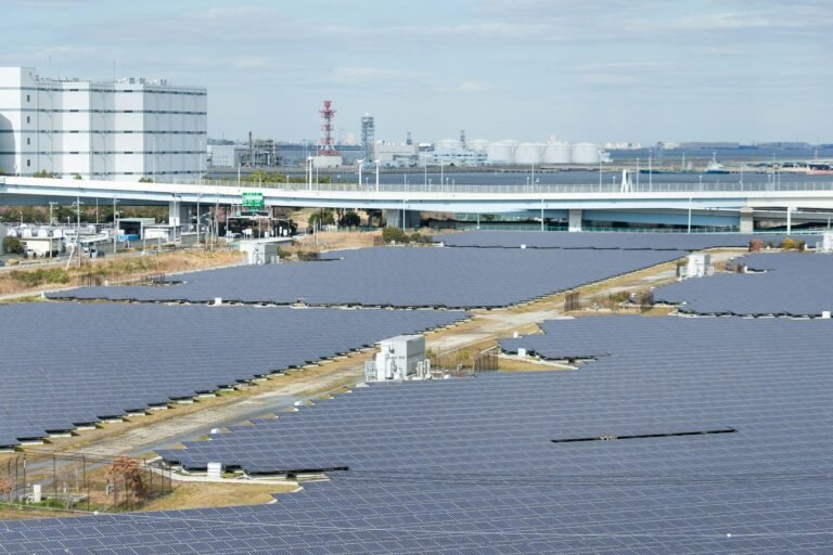 España produce «frutas solares» y el mundo se sorprende: la energía que emerge en nuestros campos.