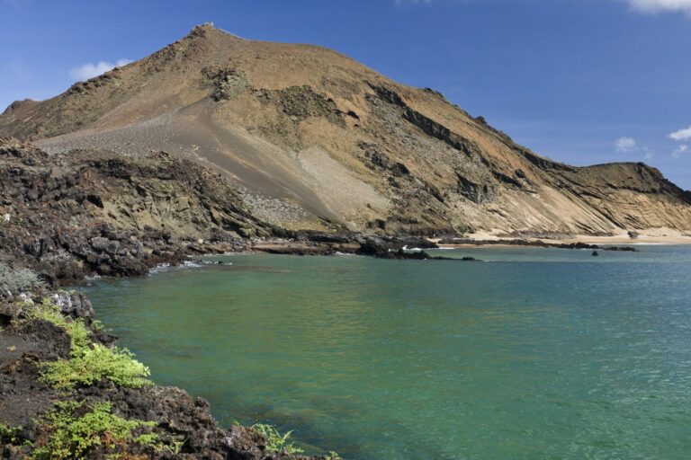 Galápagos