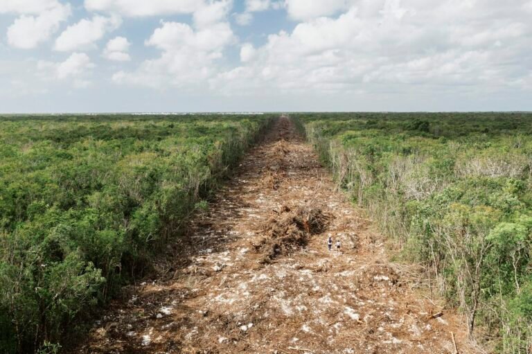 Los ministros deben unir fuerzas para lograr un medio ambiente saludable en la región paneuropea.